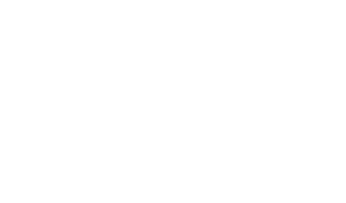 white moonsaddle logo