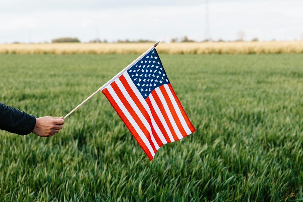 american flag ing green grass field